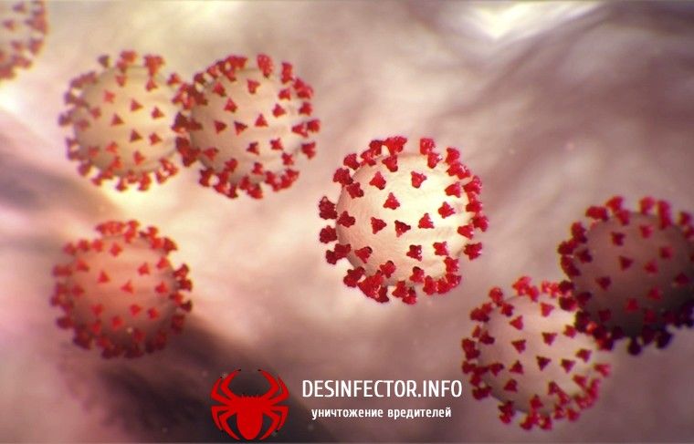 Китай не передал России для изучения штамм нового коронавируса 2019-nCoV.