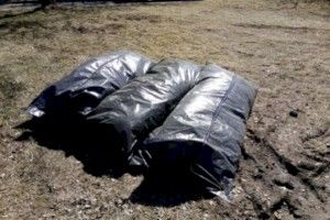 Изъеденных крысами трупы были найдены на территории заброшенной воинской части в Санкт-Петербурге.