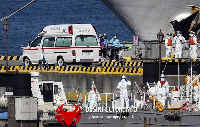 На борту Diamond Princess нашли коронавирус у гражданки России.