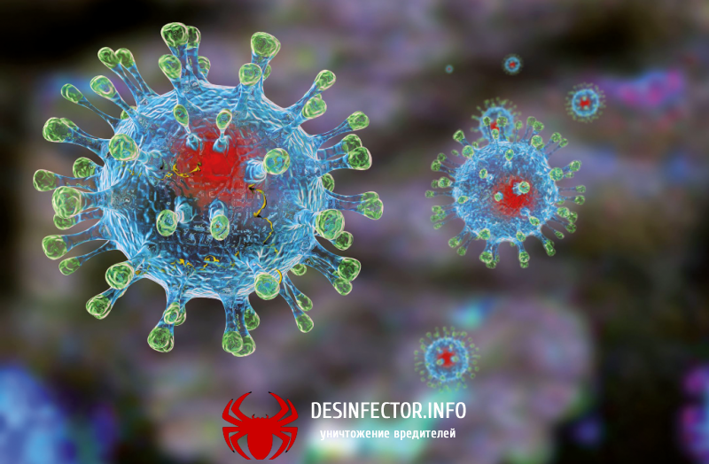Статистика по коронавирусу 2019-ncov на 13.03.2020