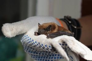 Из личного архива/ Елена Шерстяных