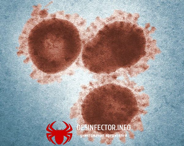 Статистика по коронавирусу 2019-nCoV на 28.01.2020(10:05)