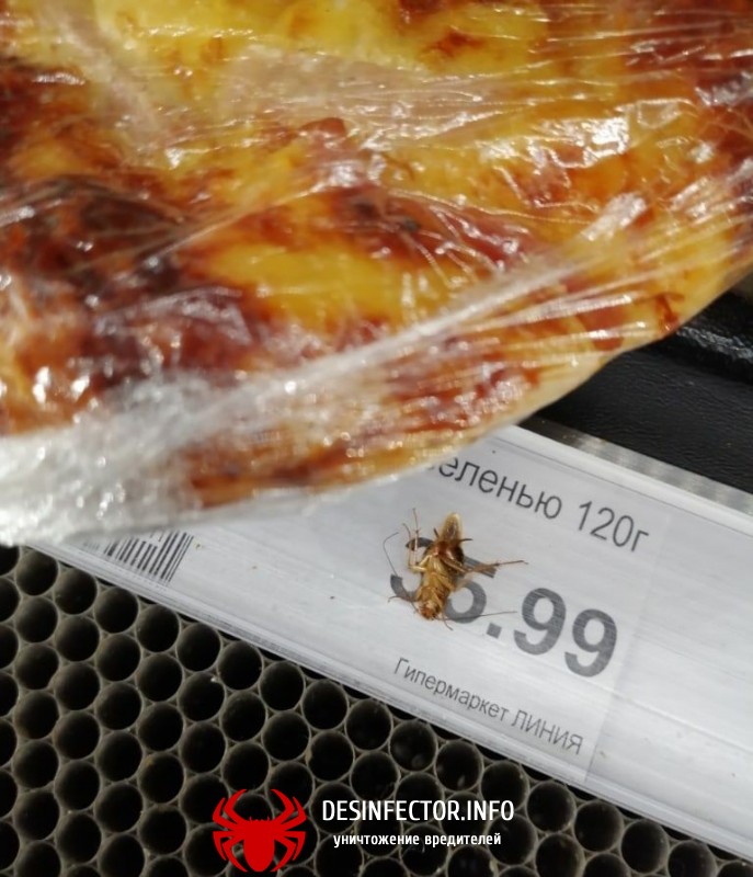 Воронеже в ТЦ "Линия" покупатели нашли дохлого таракана.