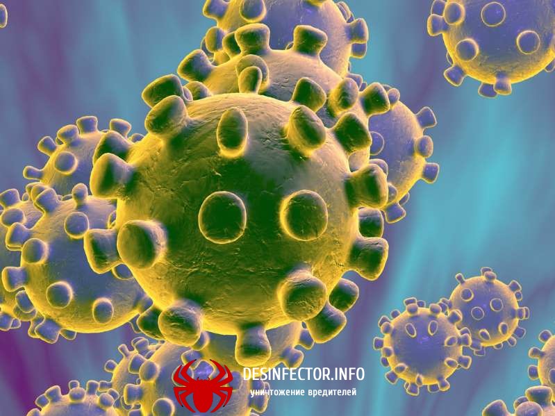 Статистика по коронавирусу 2019-nCoV на 27.01.2020