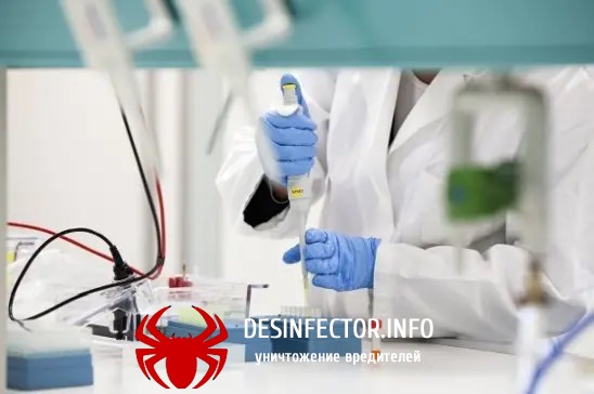 Антитело CR3022, нейтрализующее вирус SARS, может помочь в борьбе с коронавирусом 2019-nCoV.