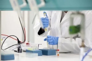 Антитело CR3022, нейтрализующее вирус SARS, может помочь в борьбе с коронавирусом 2019-nCoV.