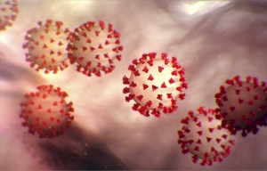 Китай не передал России для изучения штамм нового коронавируса 2019-nCoV.