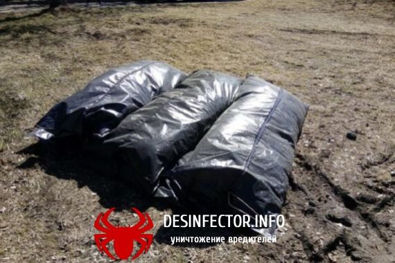 Изъеденных крысами трупы были найдены на территории заброшенной воинской части в Санкт-Петербурге.