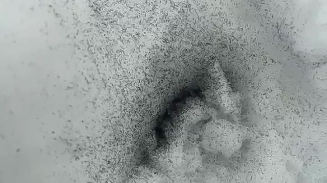 790267d4142ac58593ebeea4cb8b3.jpg 790267d4142ac58593ebeea4cb8b3.jpg