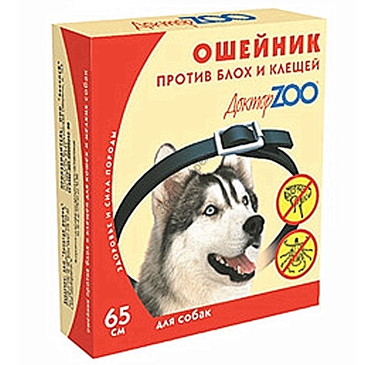 oshejnik.jpg