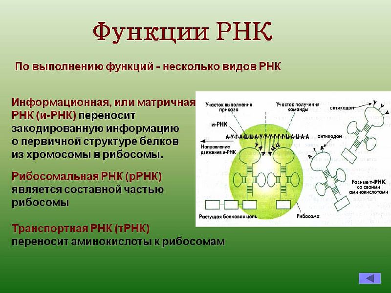 014-1.jpg 014-1.jpg