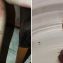 Чем тропические клопы отличаются от постельных клопов. 0