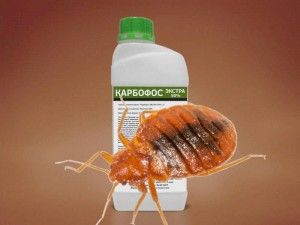 Клопы и карбофос. Как карбофосом травить клопов. Отзывы