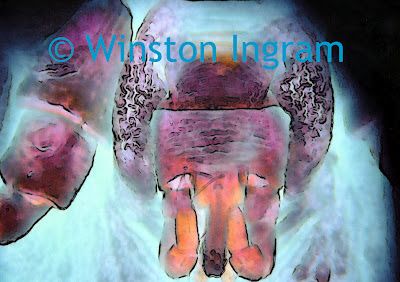 art-bedbug-mouth-l.jpg