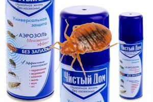 Уничтожаем клопов при помощи средств Чистый дом. Отзывы.