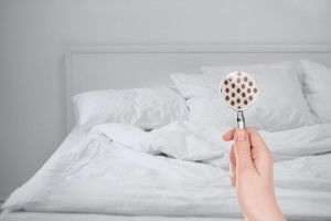 Клопы в подушке и одеяле, внутри матраса, наволочке, обшивке дивана?  Причины и способы обнаружения