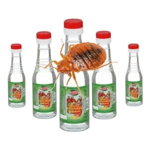 Клопы и уксус. Почему клопы боятся уксуса. Как правильно обработать.