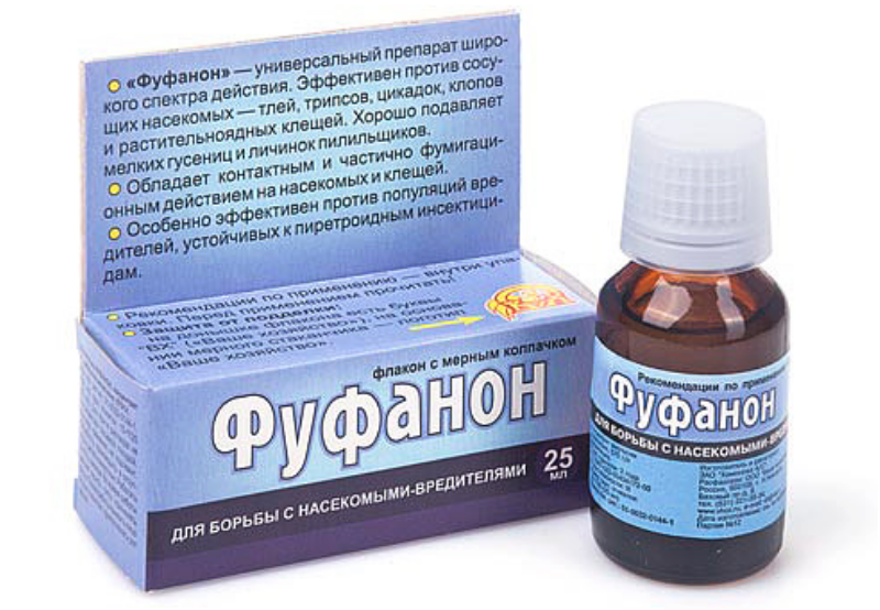 instruktsiya-fufanon.png