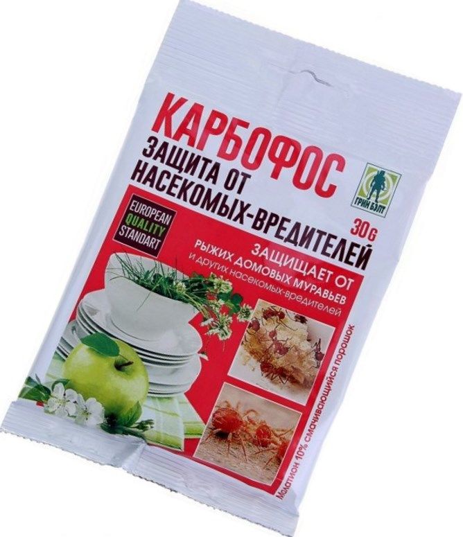 dolgonosik-05.jpg