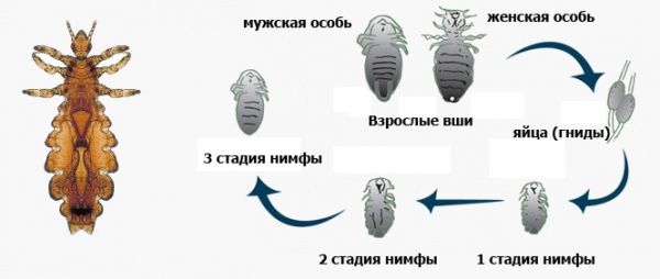 48715d0f7107757317e04d136714ad88.jpg