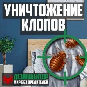 Уничтожение клопов в Череповце.