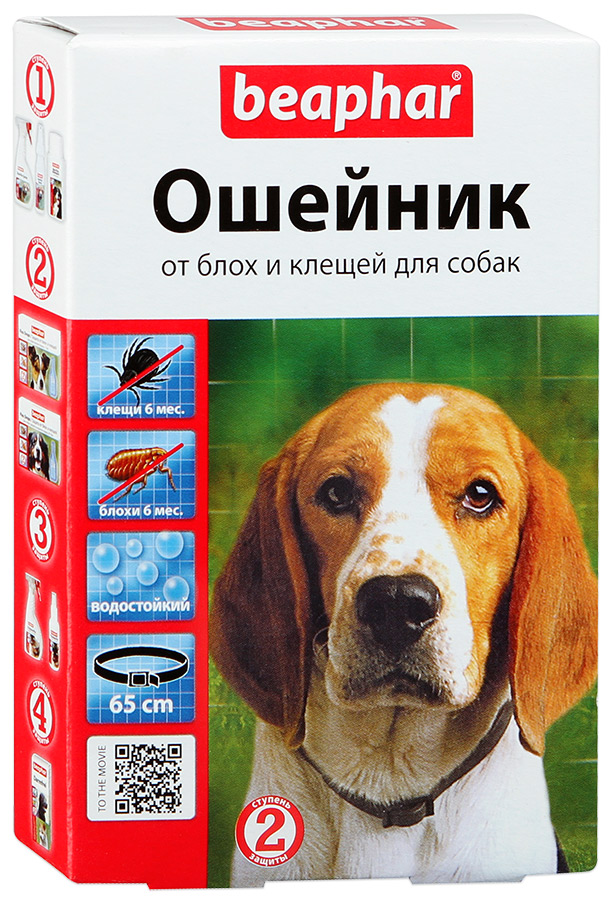 bf-osh65.jpg