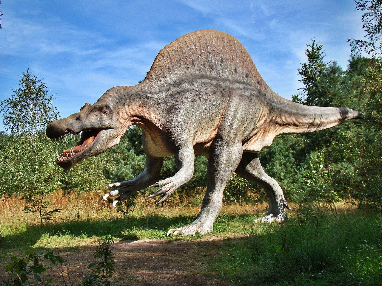 dinosaur-1310676-1280.jpg dinosaur-1310676-1280.jpg