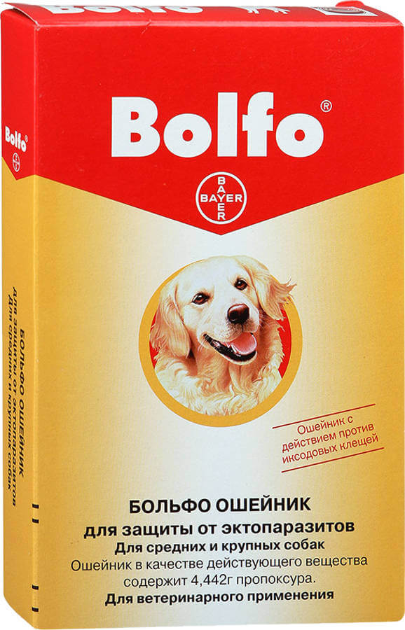 bayer-bolfo.jpg
