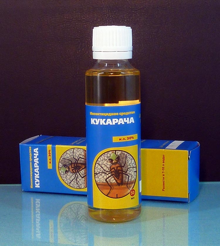 1503499278-kukaracha.jpg