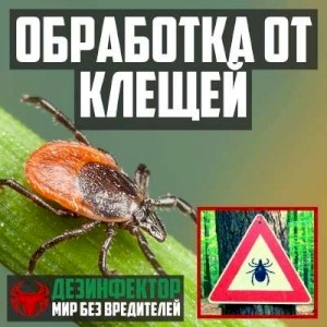 Уничтожение клещей Вельск.