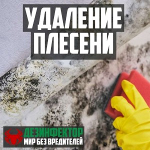 Удаление плесени и грибка в Череповце