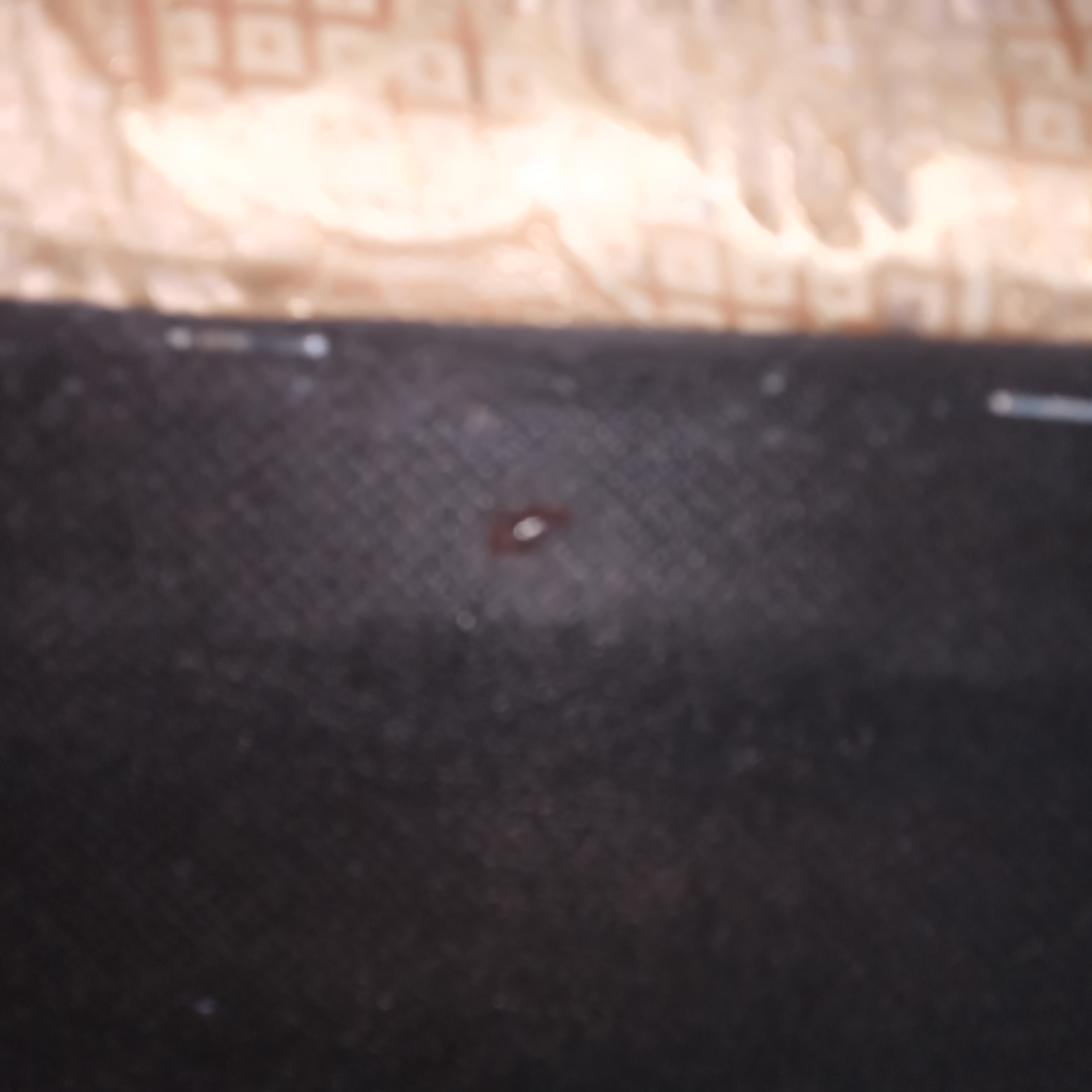 img20210210102523.jpg