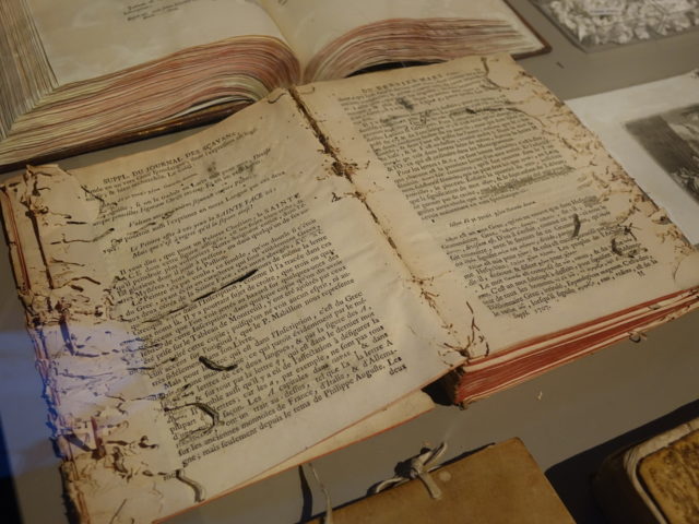 01-323-640x480.jpg Вред от сеноедов(книжная вошь)