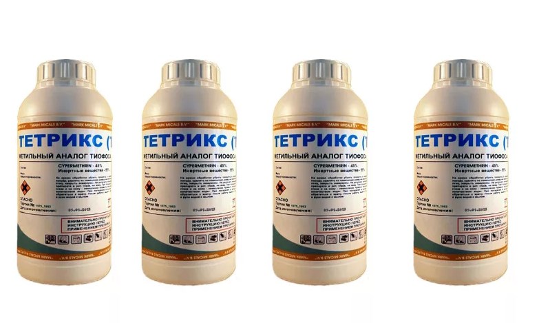 tetriks.jpg