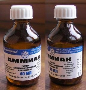 Аммиак от постельных клопов? Используем нашатырный спирт в уничтожении клопов.
